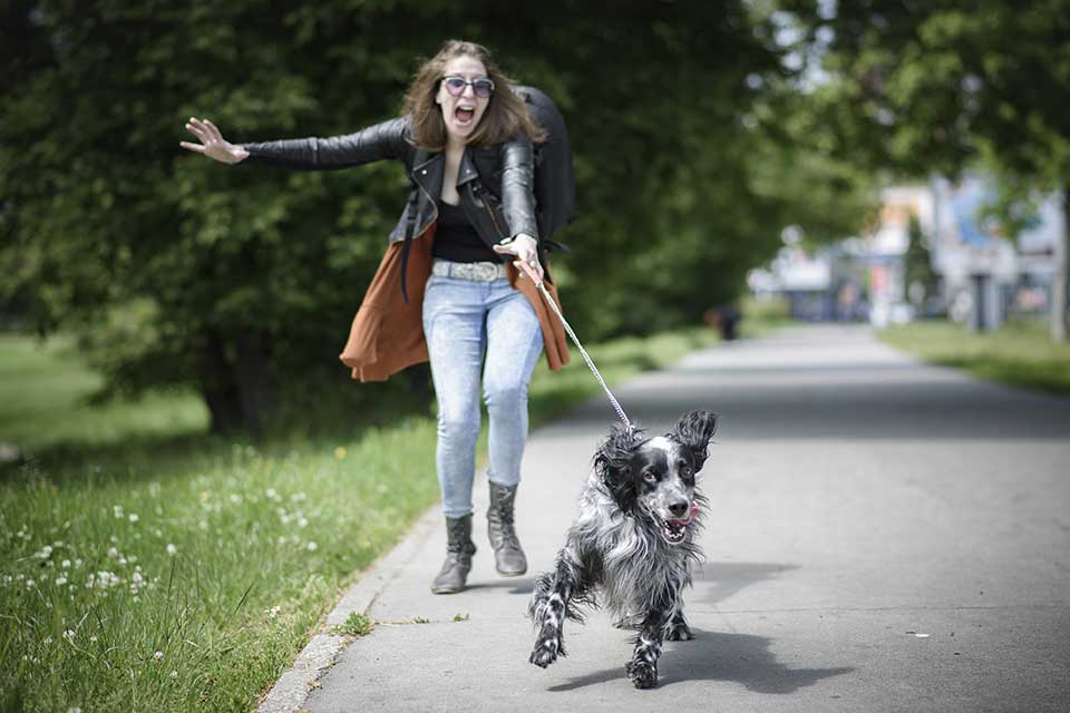 Perchè il mio cane tira al guinzaglio?