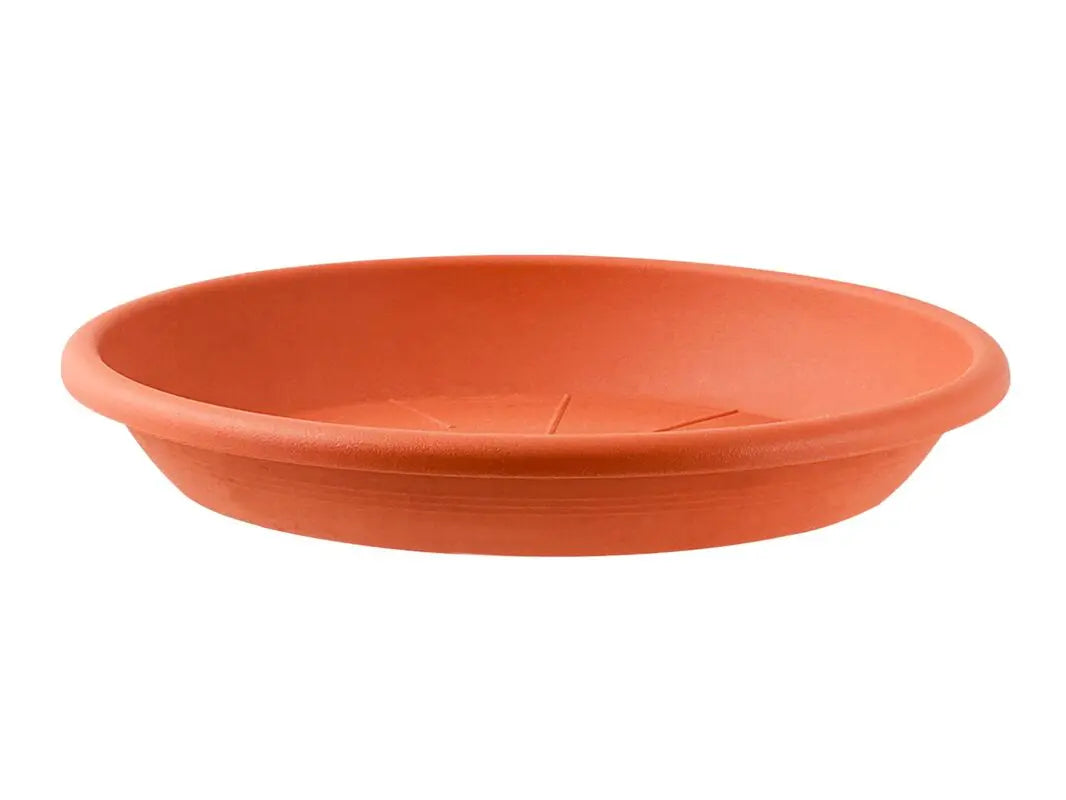 Sottovaso Medea