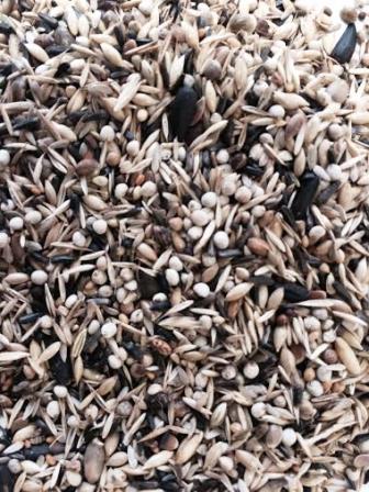 MISCELA GREG CARDELLINI MAJOR 5 KG 1250M