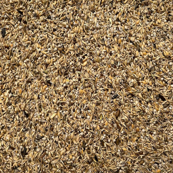 MISCELA GREG ORO LIGHT (kg.15)