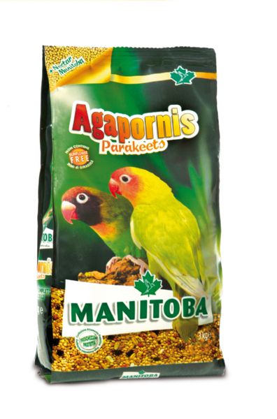 Manitoba Agapornite 20