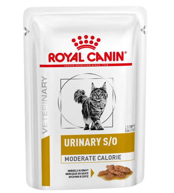 Royal Canin Urinary S/O moderate calorire Umido Gatto 12 Bustine 85gr