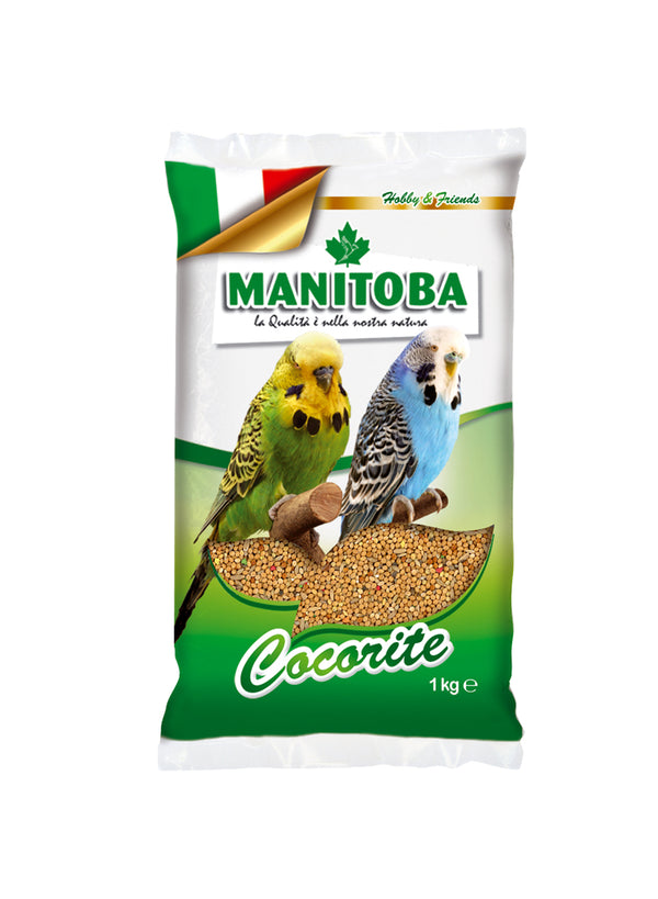 Manitoba Cocorite Budgies Bisquits