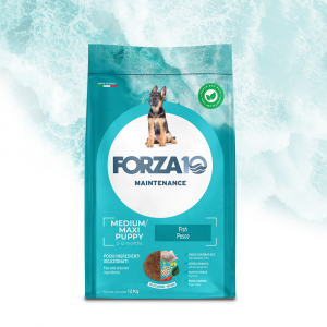 Forza10 Maintenance Puppy Junior Medium Maxi Pesce