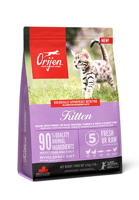 Orijen Kitten