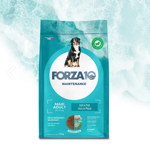 Forza10 Cane Maxi Adult Maintenance al Pesce