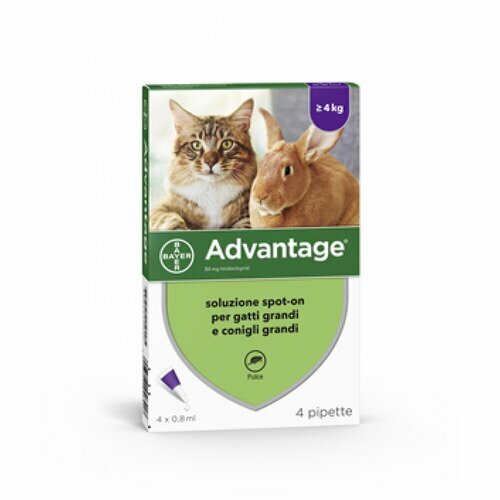 Advantage 4 Pipette Antipulci Per Gatti, Gattini e Conigli