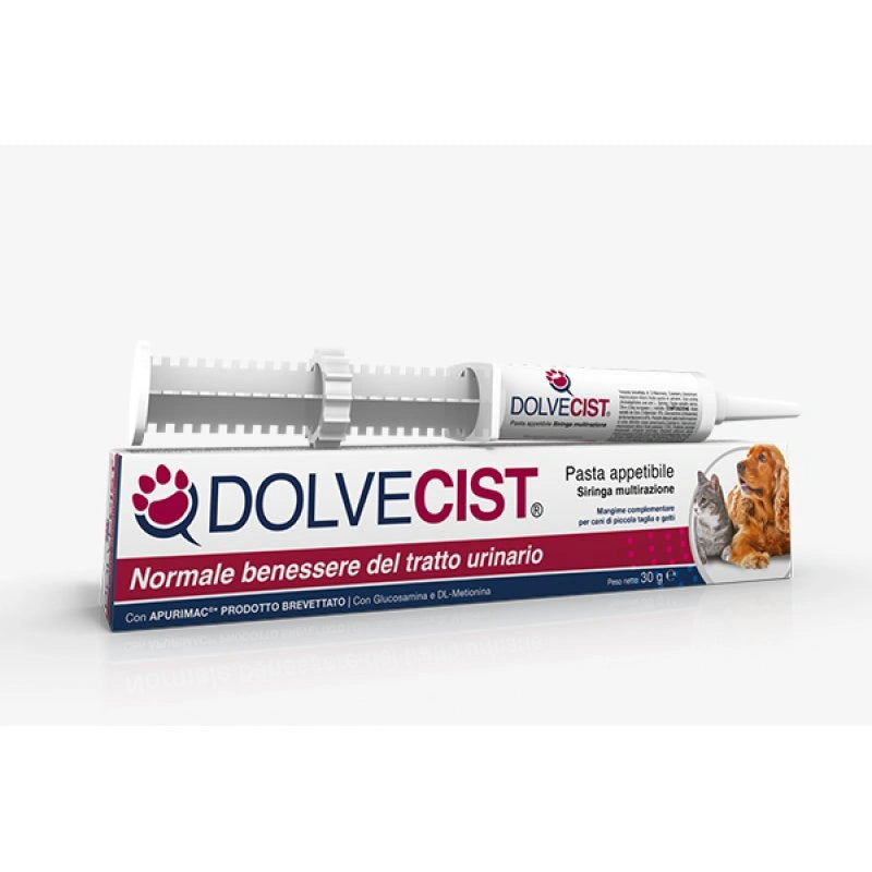 Shedir dolvecist