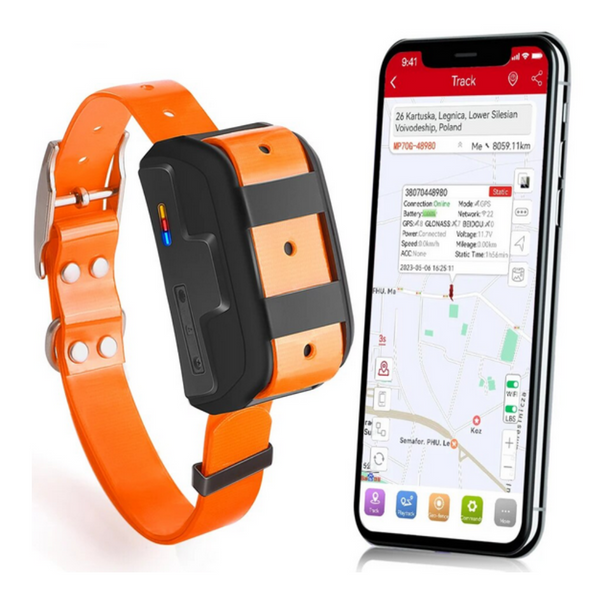 Lynx Collare GPS 4G per cani