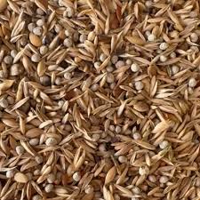 Blattner Miscela Spinus Speciale Sansone