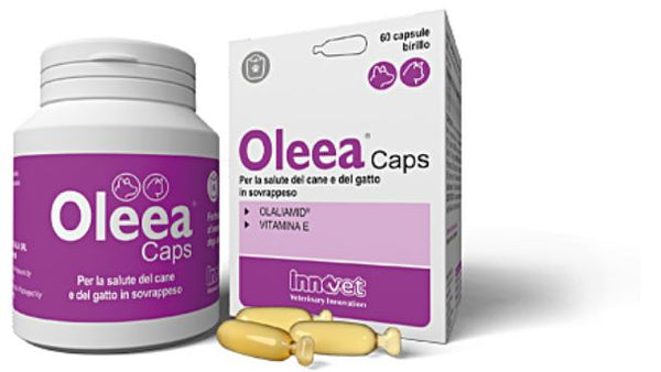 Innovet Oleea 60cpr
