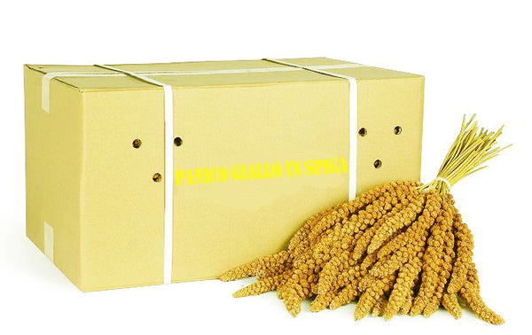 SCATOLA SPIGA DI PANICO ELEVAGE 15 KG