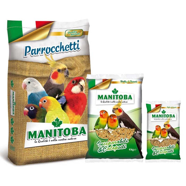 Manitoba Parrocchetti