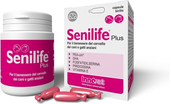 Innovet SENILIFE PLUS 30 supporto celebrale per cani e gatti