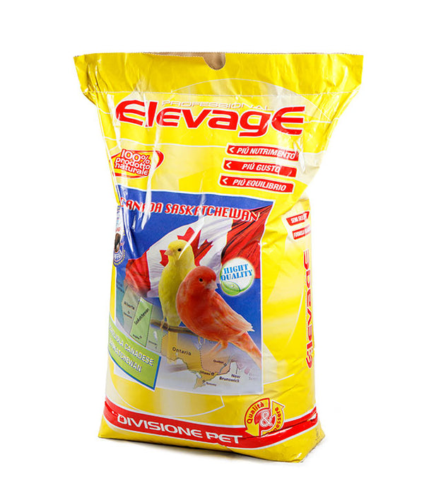 Elevage Scagliola Canary Seed Saska Buffalo 20kg – Semi per canarini e volatili