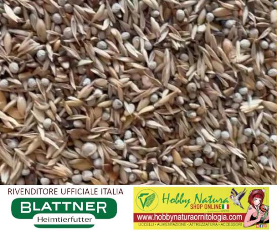 Blattner Miscela Spinus Speciale Sansone