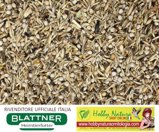 Blattner Miscela Spinus Sudamericani 5Kg