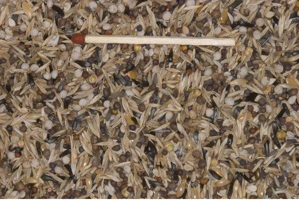 Blattner Miscela per Lucherini-Organetti 5Kg