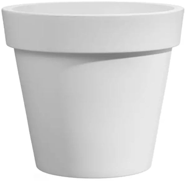 Vaso Simple Rot