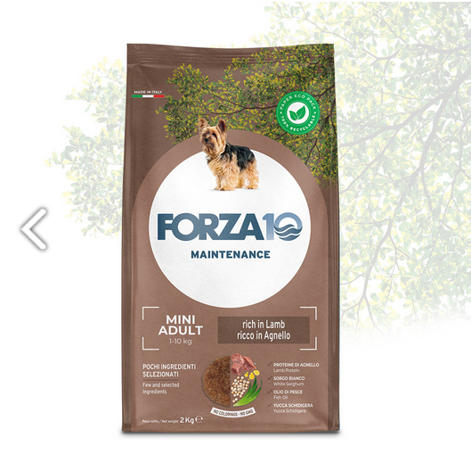 Forza10 Cane Mini Adult Maintenance all'Agnello e Riso