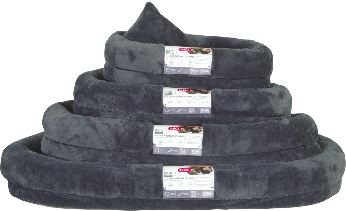 zolux DIVANO MEMORY GAIA+CUSCINO
