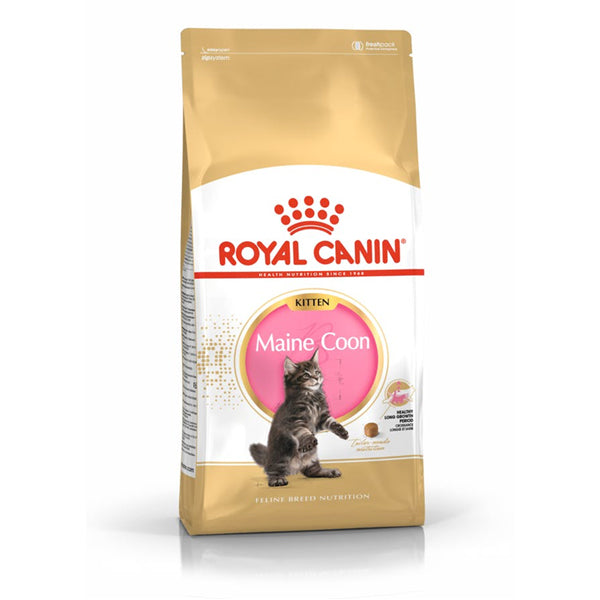 Royal Canin Maine Coon Kitten