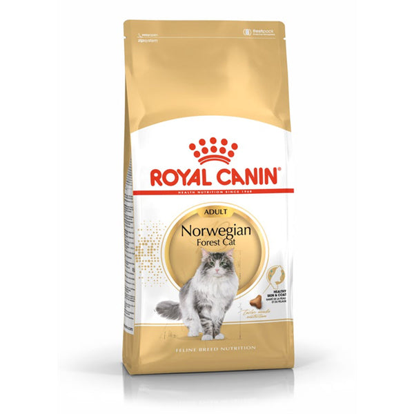 Royal Canin Norwegian Forest Cat Adult