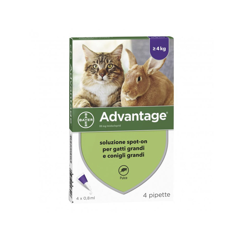 Advantage Spot-on antipulci per gatti e conigli di taglia grande