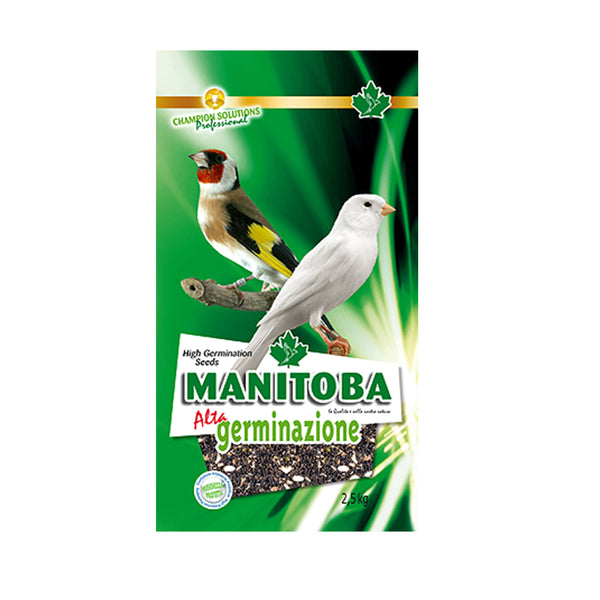 Manitoba Alta Germinazione