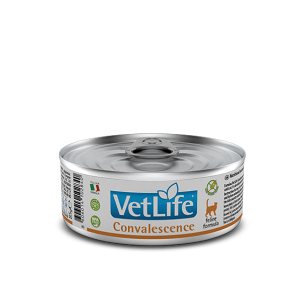 Farmina VetLife Umido Gatto Convalescence 85gr