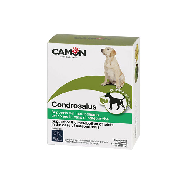 Condrosalus