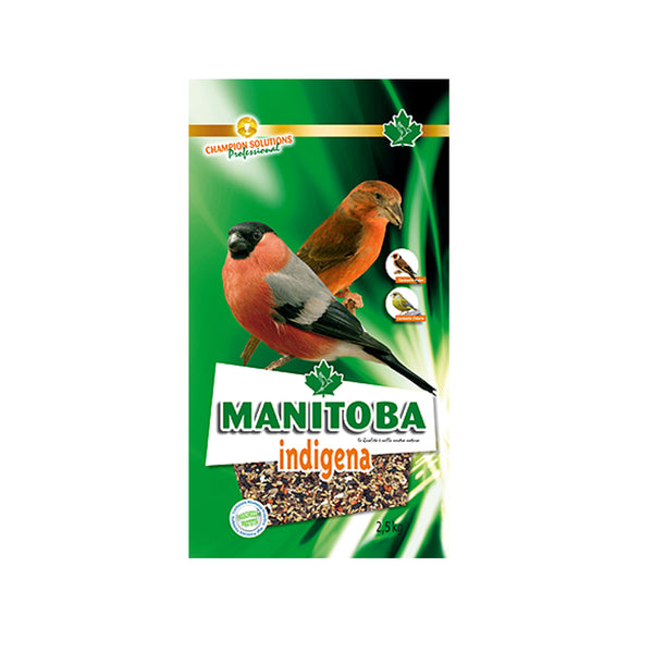 Manitoba Indigena