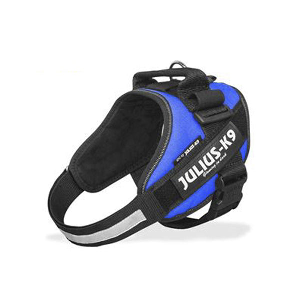 Julius-K9 Pettorina Blu