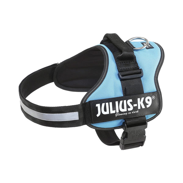 Julius-K9 Pettorina Azzurra