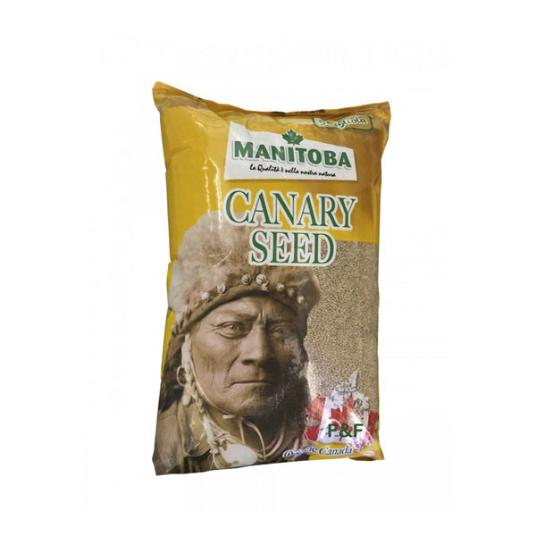 Manitoba Canary Seed