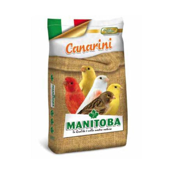 Manitoba Canarino T1 Bisquit