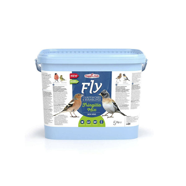 Raggio di Sole Fly chaffinches e bramblins fringilla mix