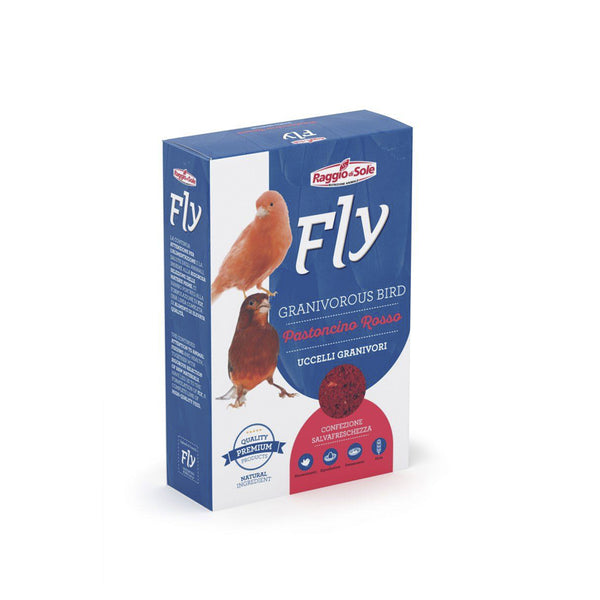 Raggio di Sole Fly granivorous bird pastoncino rosso