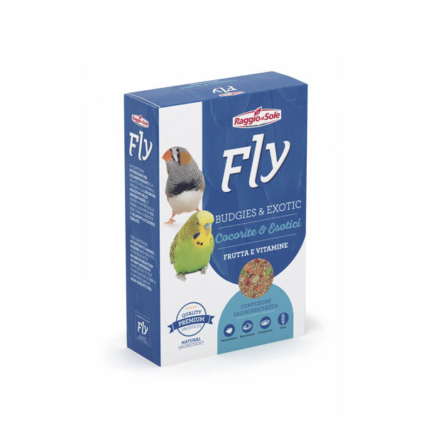 Raggio di sole Fly cocorite e esotici