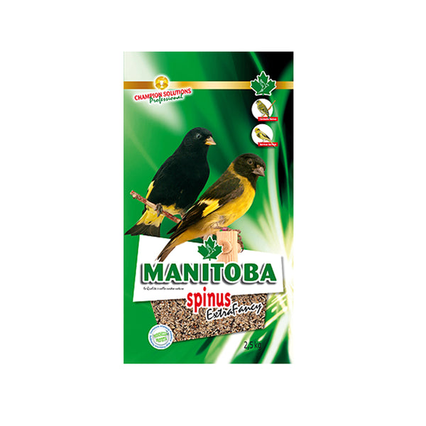 Manitoba Spinus Extra Fancy