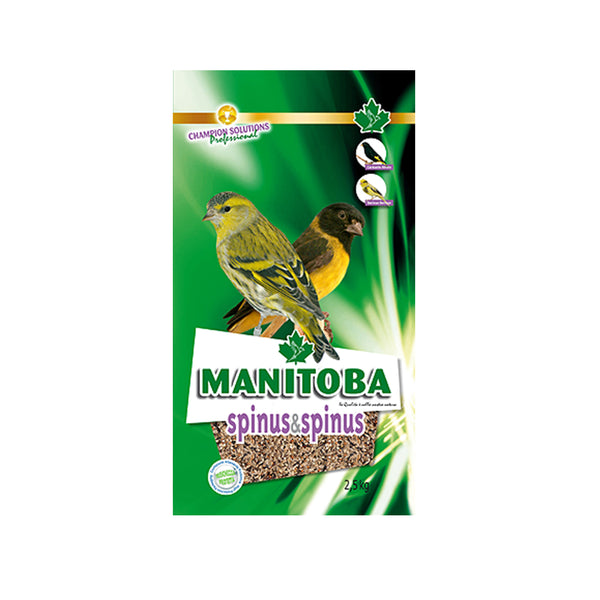 Manitoba Spinus & Spinus