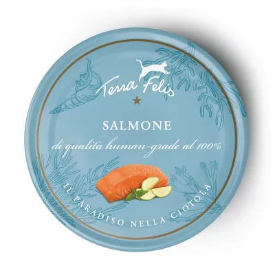 Terra Felis Adult Salmone