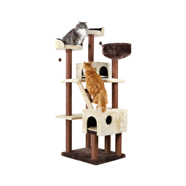 Trixie - Trespolo Felicitas