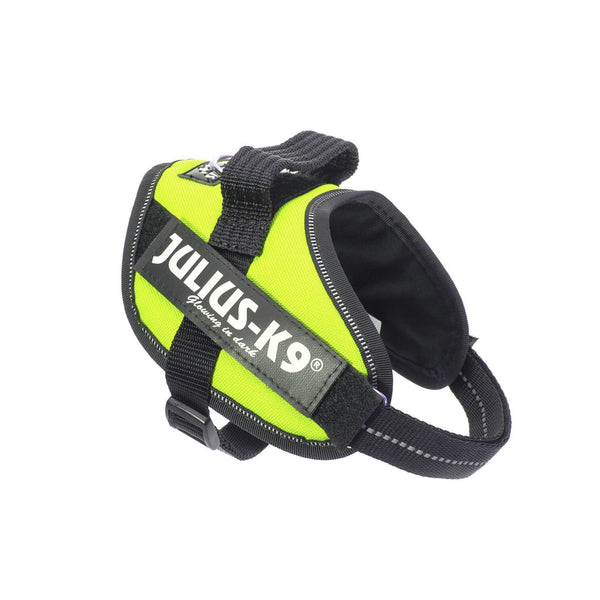 Julius-K9 Pettorina Gialla