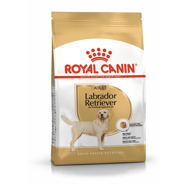 Royal Canin Labrador Retriever adult