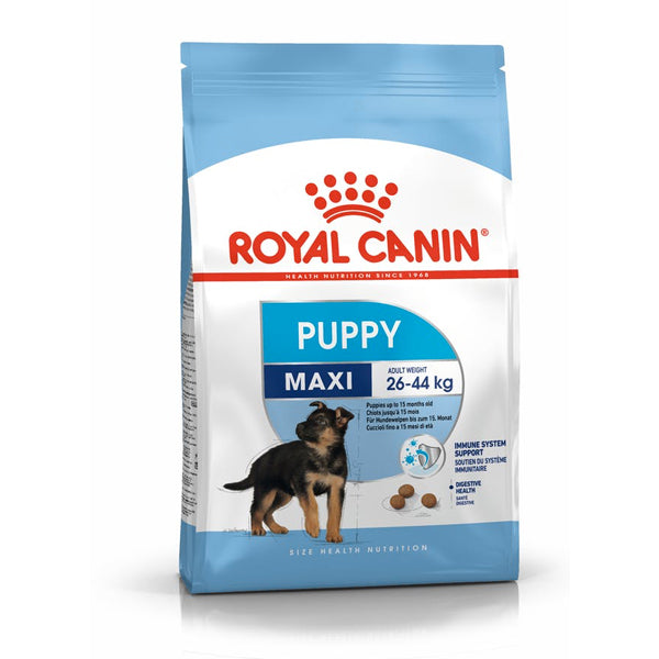 Royal Canin Maxi puppy cane