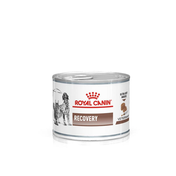 Royal Canin Recovery - Umido Cane - 195gr