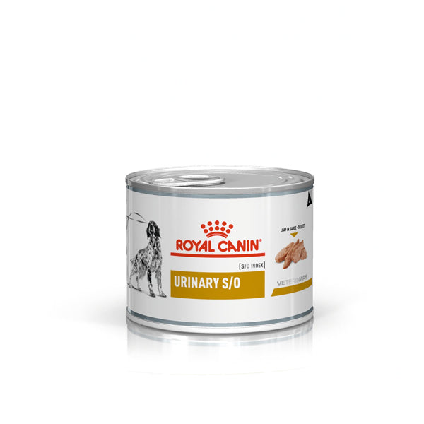 Royal Canin Veterinary Diets Urinary S/O - Umido Cane