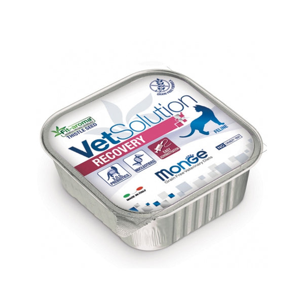 Monge Vetsolution Recovery - Umido Gatto