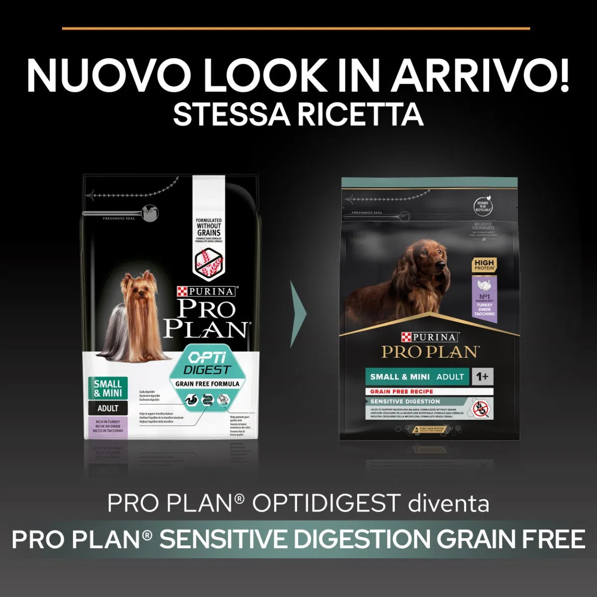 Purina Pro Plan Sensitive Digestion Small e Mini Adult Grain Free ricco in tacchino - secco cane